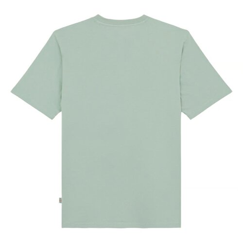 Dickies T-shirt Mapleton vert iceberg