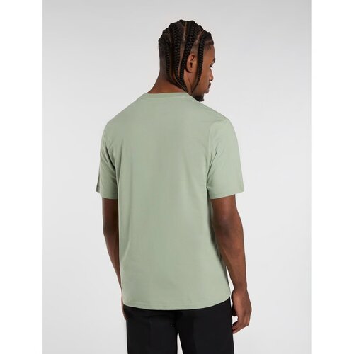 Dickies T-shirt Mapleton vert iceberg
