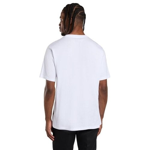 Dickies Mapleton T-shirt wit