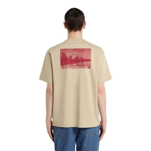 Dickies Maglietta Millville con eucalipto