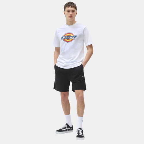 Dickies Pantalones cortos Pelican Rapids negros