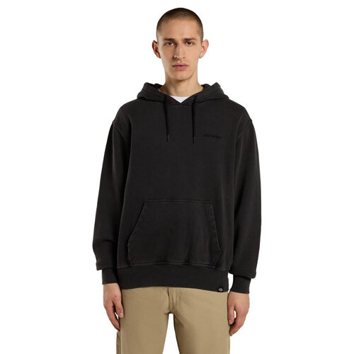 Dickies Plentywood Hoodie Schwarz