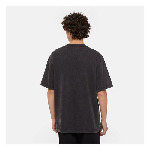 Dickies T-shirt Plentywood noir délavé à l'acide