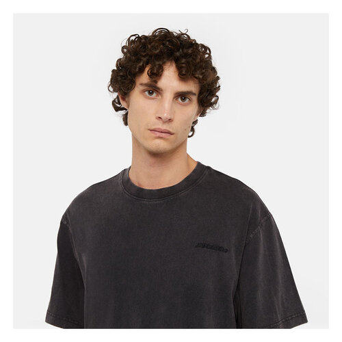 Dickies T-shirt Plentywood Acid Wash nera