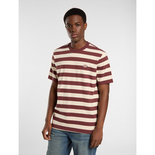 Dickies Camiseta Rivergrove Andorra