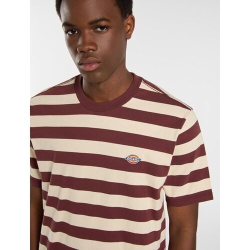 Dickies T-shirt Rivergrove Andorra