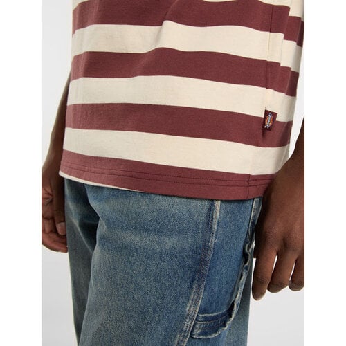 Dickies T-shirt Rivergrove Andorre