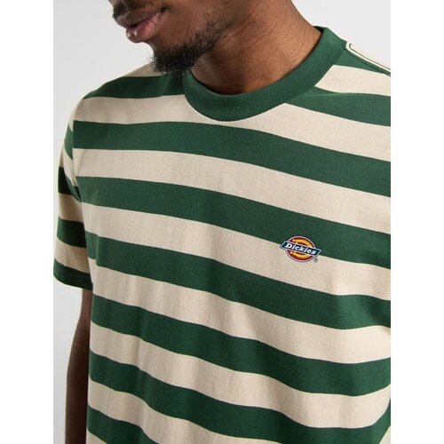 Dickies T-shirt Rivergrove color verde aghi di pino