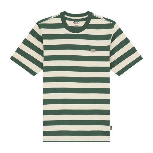 Dickies T-shirt Rivergrove color verde aghi di pino