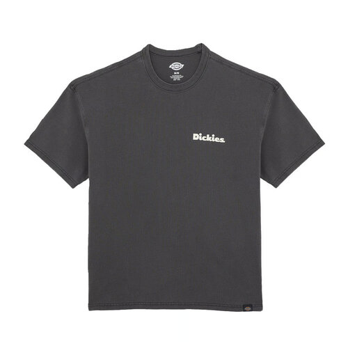 Dickies Slayden Gd T-Shirt Schwarz