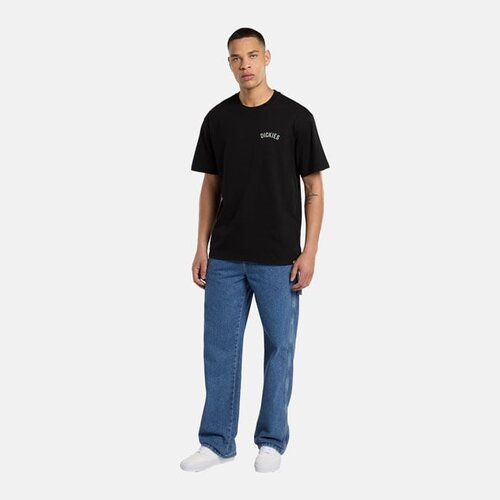 Dickies Schlangen-T-Shirt Schwarz