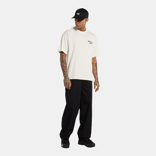 Dickies T-shirt Sneedville beige