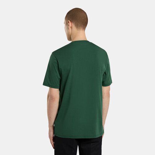 Dickies Ss Mapleton T-Shirt Kiefernnadelgrün