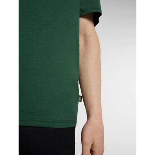 Dickies Camiseta Ss Mapleton verde aguja de pino