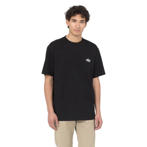 Dickies Summerdale T-shirt zwart