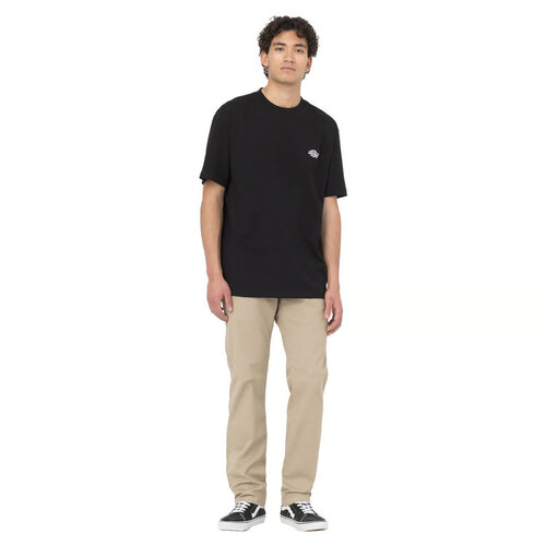 Dickies Maglietta Summerdale nera
