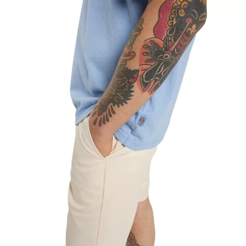 Dickies T-shirt Thornville Ciel infini