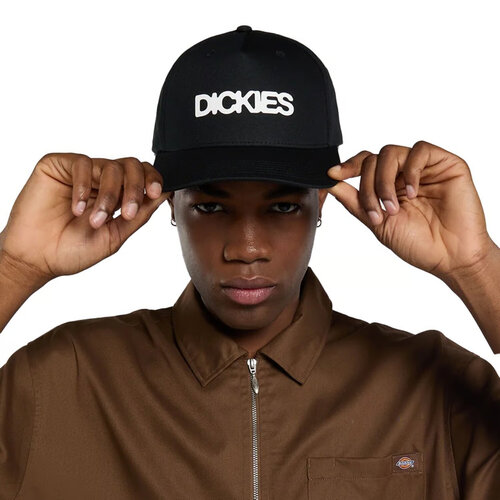 Dickies Torrey Snapback Cap Schwarz