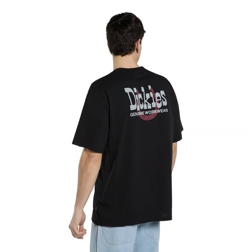 Dickies Vernal T-shirt Zwart