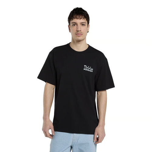 Dickies T-shirt Vernal noir