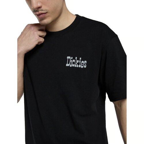 Dickies Vernal T-Shirt Schwarz