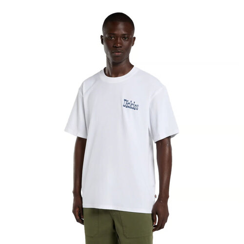 Dickies Vernal T-shirt wit