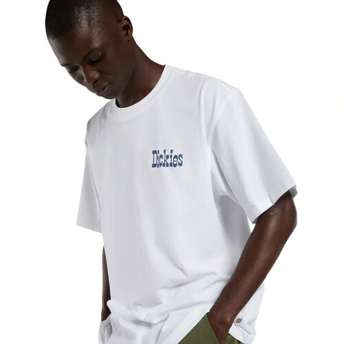 Dickies Vernal T-shirt wit