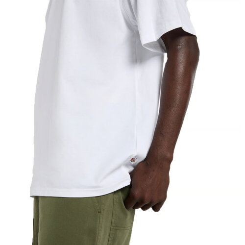 Dickies Vernal T-shirt wit