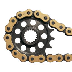 Pignon 520 (307)