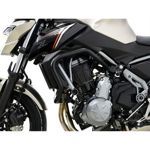 Zieger Paramotore per Kawasaki Z 650