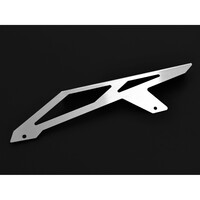 Paracatena argento per Kawasaki ZZR 600