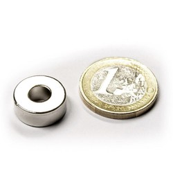 Ring Magneet 15/6 (Groot)