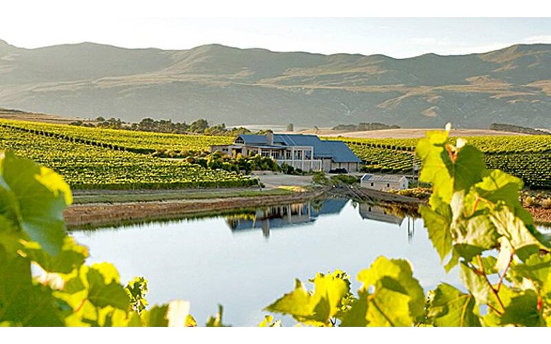 Creation Wines