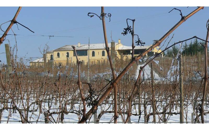 Gayda