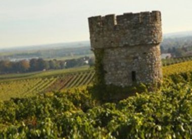 Rheinhessen