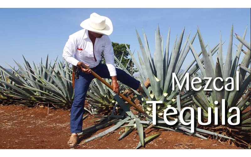Tequila/Mezcal