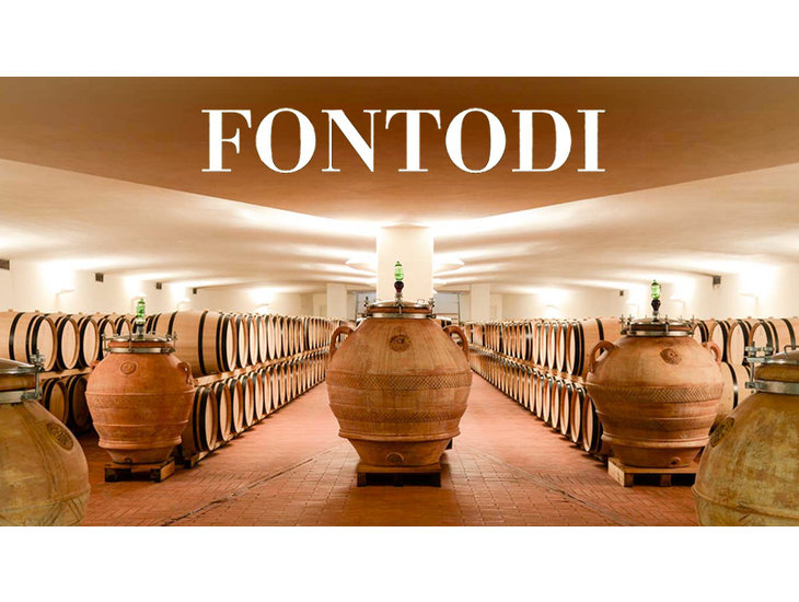 Fontodi