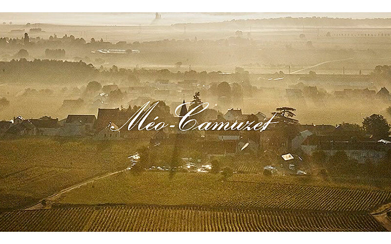 Meo-Camuzet