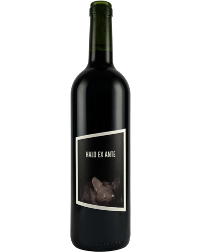 Neverland Halo Ex Ante Cuvée Prestige 2019 BIO