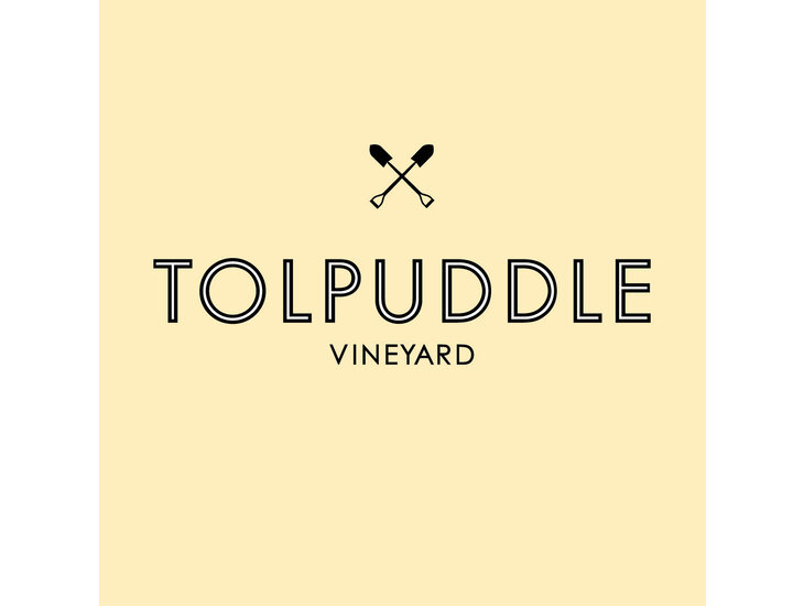 Tolpuddle Vineyard