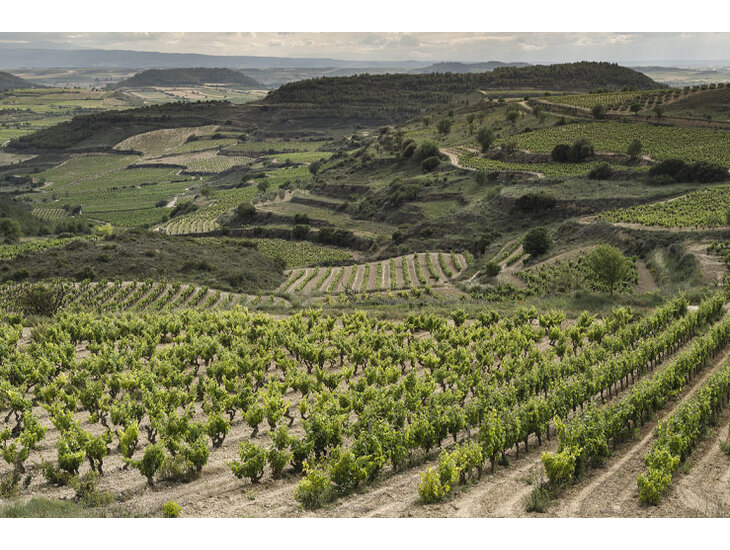 Benjamin de Rotschild & Vega Sicilia