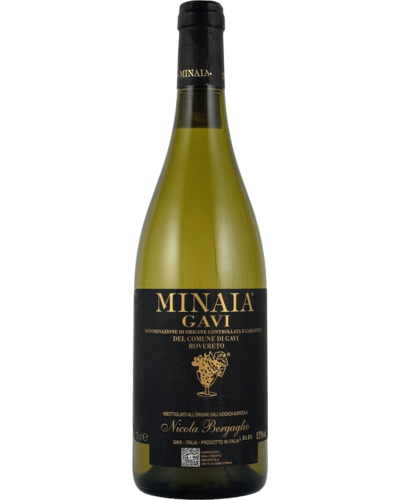 Nicola Bergaglio Minaia Gavi 2025
