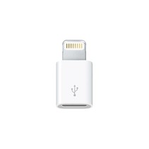 Lightning naar Micro USB converter voor Apple Producten