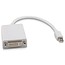 Geeek Mini Displayport DVI-Adapter