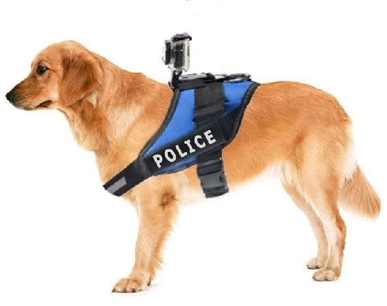 Geeek Fetch Hondenharnas Houder Riem Voor Gopro geeek kopen in de aanbieding Geeek Fetch Hondenharnas Houder Riem Voor Gopro geeek kopen in de aanbieding