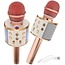 Draadloze Karaoke Microfoon Draadloos met Speaker Bluetooth Rosé Goud