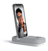 Rayz Rally Pro ® Lightning - Mobiele Conference Speaker - Designed for Google Meet +