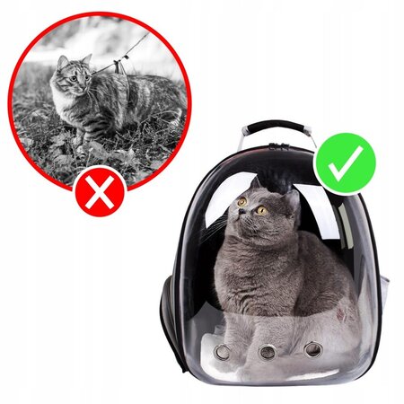 Rucksack für Haustiere – Tragetasche für Katzen und kleine Hunde – Transporttasche – Tierrucksack
