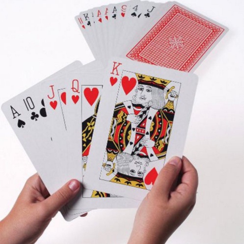 Geeek Speelkaarten King Size geeek kopen in de aanbieding