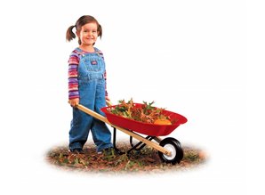 Radio Flyer Kids Kruiwagen